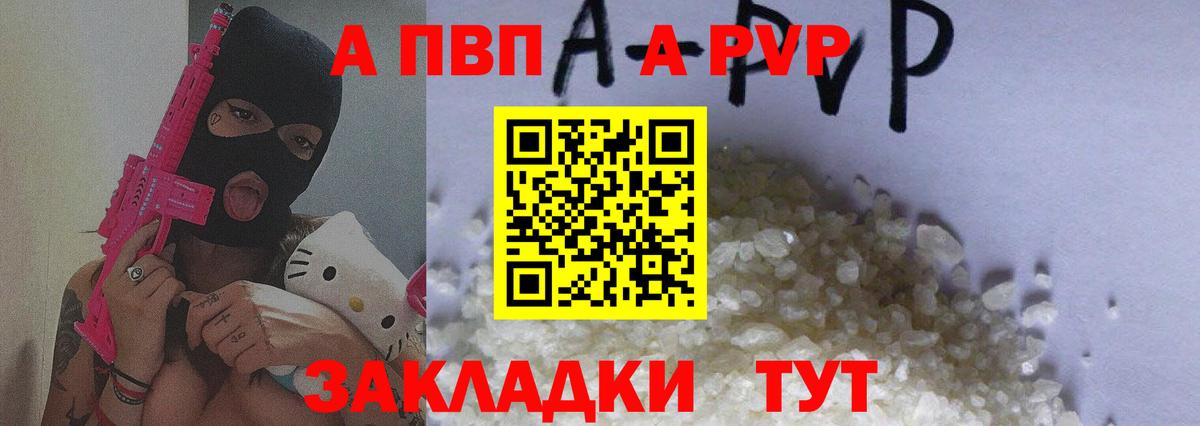 Альфа ПВП СК Гатчина