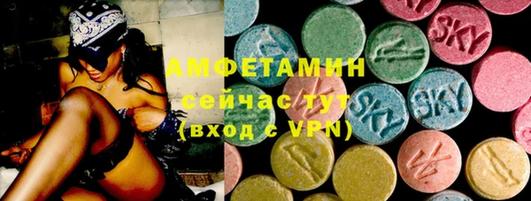 дмт Богородицк