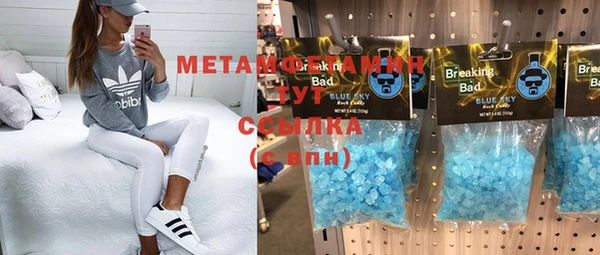 сатива Бронницы
