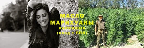 мдпв Бородино