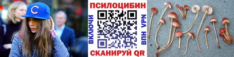 Галлюциногенные грибы Psilocybine cubensis  где купить наркотик  Гатчина 