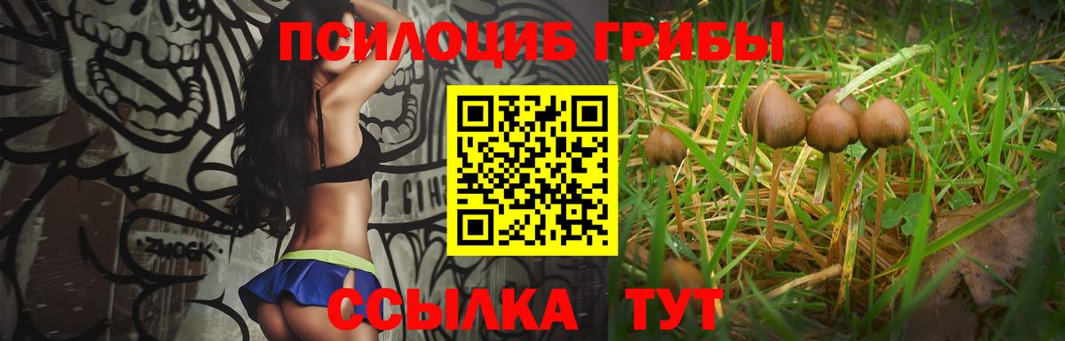 цены   Галлюциногенные грибы Psilocybine cubensis  Вход с VPN  Гатчина 